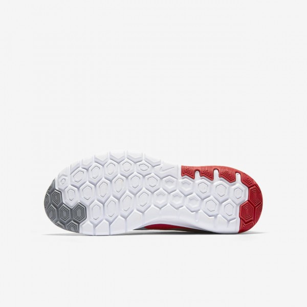 Nike Flex Experience 5 Laufschuhe Jungen Rot Weiß Metallic Silber 428-75144